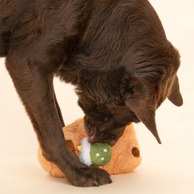 TIAKI zabawka dla psa Matcha Capibara