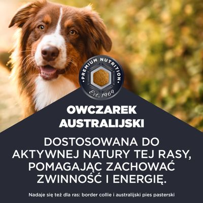 Eukanuba Breed Specific Australian Shepherds
