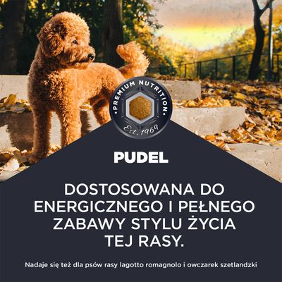 Eukanuba Adult Breed Pudel