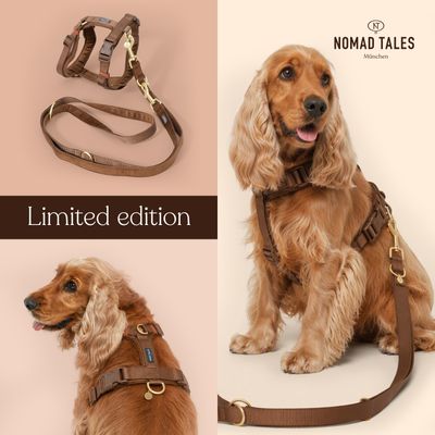 Nomad Tales szelki Blush Limited Edition, mocha