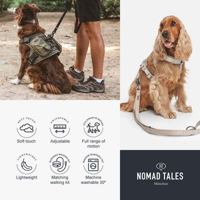 Nomad Tales smycz dla psa Blush Limited Edition, mocha