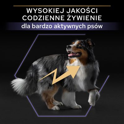 16 kg + 3 kg gratis! PURINA PRO PLAN, karma sucha dla psa, 19 kg