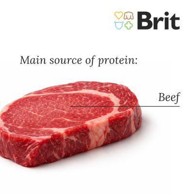 Korzystny pakiet Brit Mono Protein, 24 x 400 g