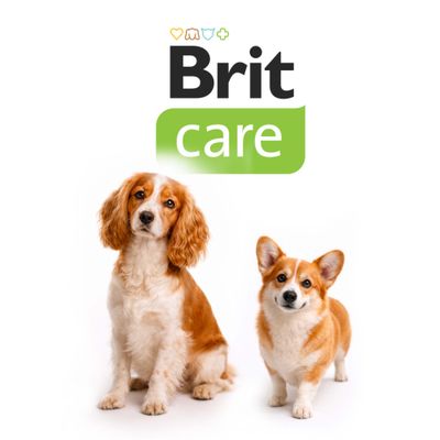 12 + 3 kg gratis! Brit Care Dog Hypoallergenic Adult, karma sucha dla psa, 15 kg