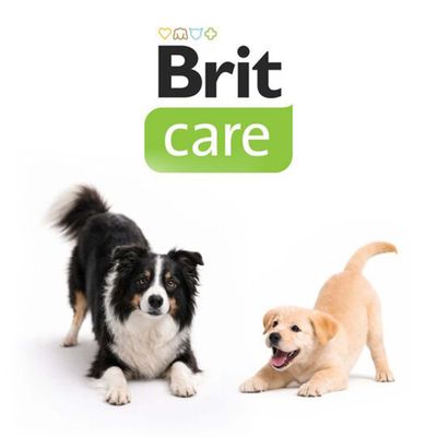 12 + 2 kg gratis! Brit Care Dog Sustainable, 14 kg