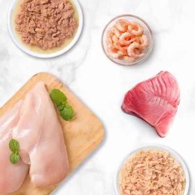 Catit Cuisine Fillet z tuńczyka