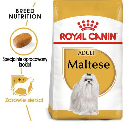 Royal Canin Maltese Adult