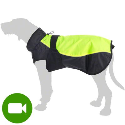 Illume Nite Neon kamizelka dla psa