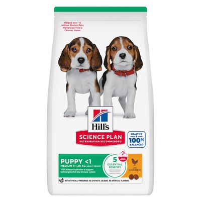 Hill's Science Plan Puppy <1 Medium, z kurczakiem