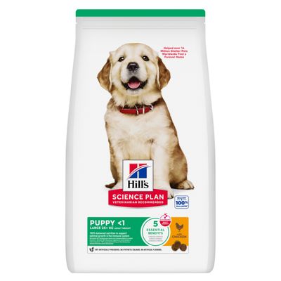 Hill's Science Plan Puppy <1 Large, kurczak
