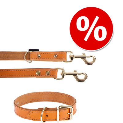 Komplet Heim Buffalo koniakowy obroża + smycz