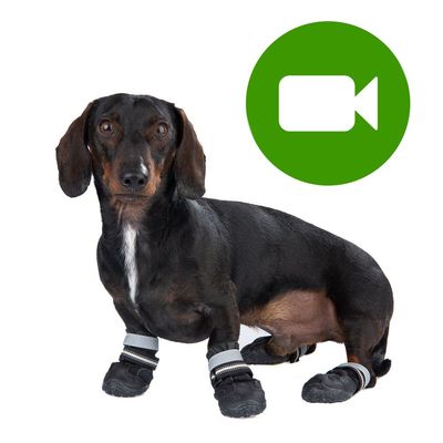 Buty dla psa S & P Boots