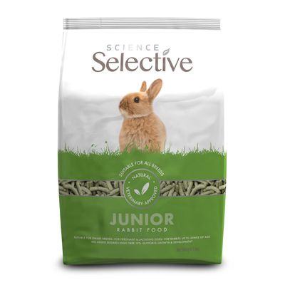 Science Selective Junior Rabbit