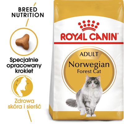 Royal Canin Norwegian Forest Cat Adult