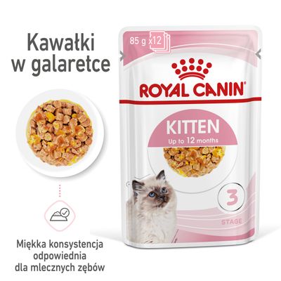 Royal Canin Kitten w galarecie