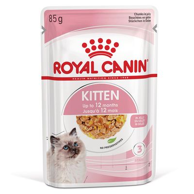 Royal Canin Kitten w galarecie