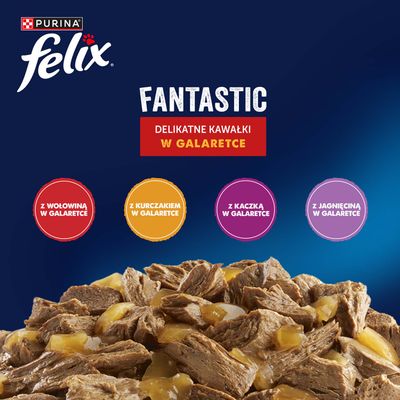 Megapakiet Felix "So gut wie es aussieht" saszetki, 44 x 85 g