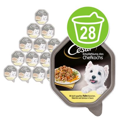 Megapakiet Cesar w tackach, 28 x 150 g