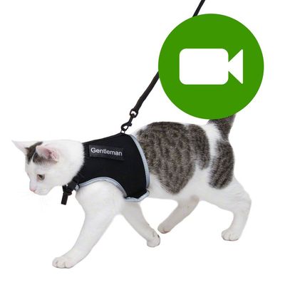 Szelki dla kota Trixie XCat z naklejkami i smyczą
