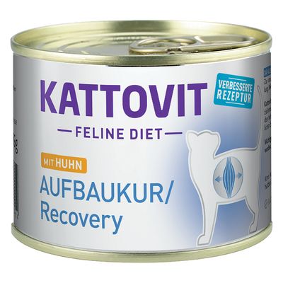 Kattovit Convalescence