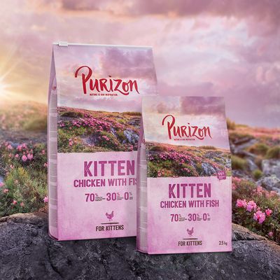 Purizon Original Kitten, kurczak z rybą – bez zbóż