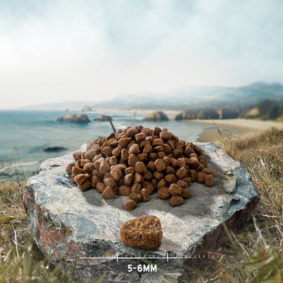 Purizon Original Kitten, kurczak z rybą – bez zbóż