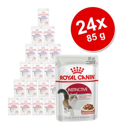 Pakiet mieszany Royal Canin, 24 x 85  g