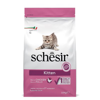 Schesir Kitten
