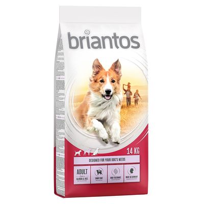 Briantos Adult, łosoś i ryż