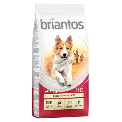 Briantos Adult, kurczak i ryż