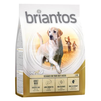 Briantos Adult Maxi