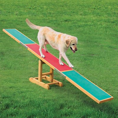 Trixie Agility huśtawka dla psa