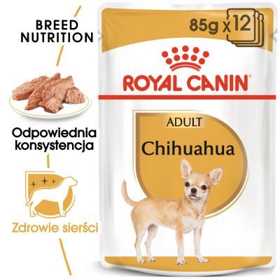 Royal Canin Chihuahua, mus