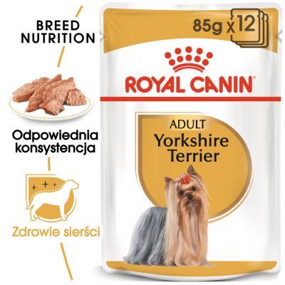 Royal Canin Yorkshire Terrier, mus