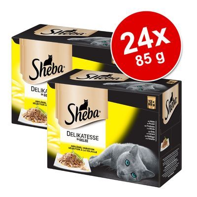 Pakiet Sheba Delicato, 24 x 85 g