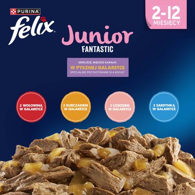 Megapakiet Felix Junior, w galarecie, So gut wie es aussieht, 48 x 85 g