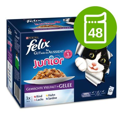 Megapakiet Felix Junior, w galarecie, So gut wie es aussieht, 48 x 85 g