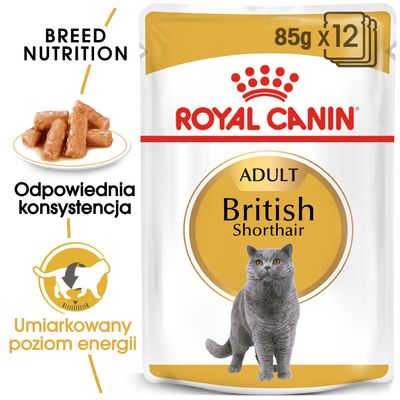 Royal Canin British Shorthair Adult w sosie