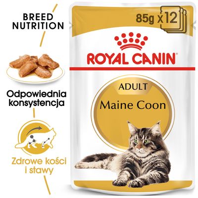 Royal Canin Maine Coon Adult w sosie