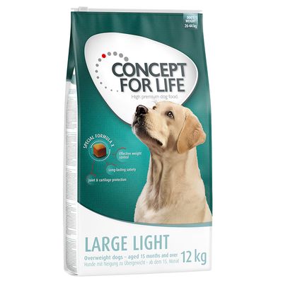 Concept for Life Large Light