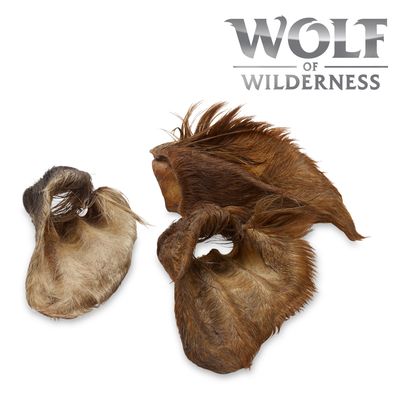 Wolf of Wilderness uszy wołowe z sierścią