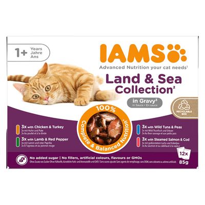 Pakiet mieszany IAMS Advanced Nutrition Adult, Land & Sea