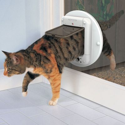 Drzwiczki dla kota z czytnikiem mikrochipów Closer Pets 360W