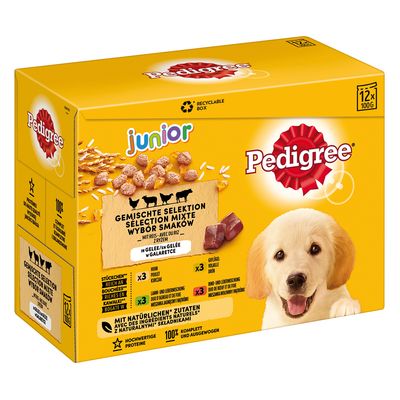 Pedigree Junior Saszetki w galarecie