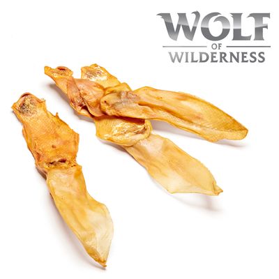 Wolf of Wilderness uszy królicze