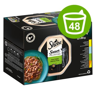 Megapakiet Sheba tacki, 48 x 85 g
