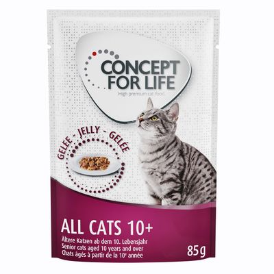 Concept for Life All Cats 10+ w galarecie