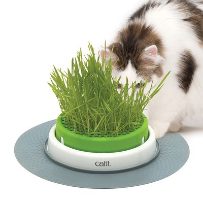 Catit Senses 2.0 miska z trawą