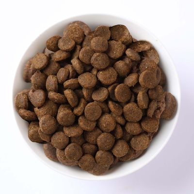 Farmina N&D Grain Free Adult, jagnięcina i borówki