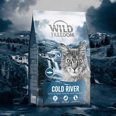 Wild Freedom Adult „Cold River”, łosoś - bezzbożowa receptura